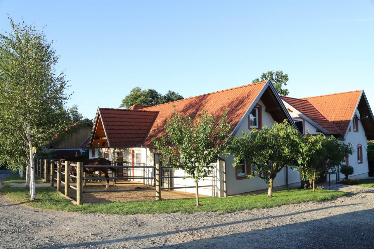 فيلا Unterbuchفي Ferienvierkanthof Brigitte المظهر الخارجي الصورة
